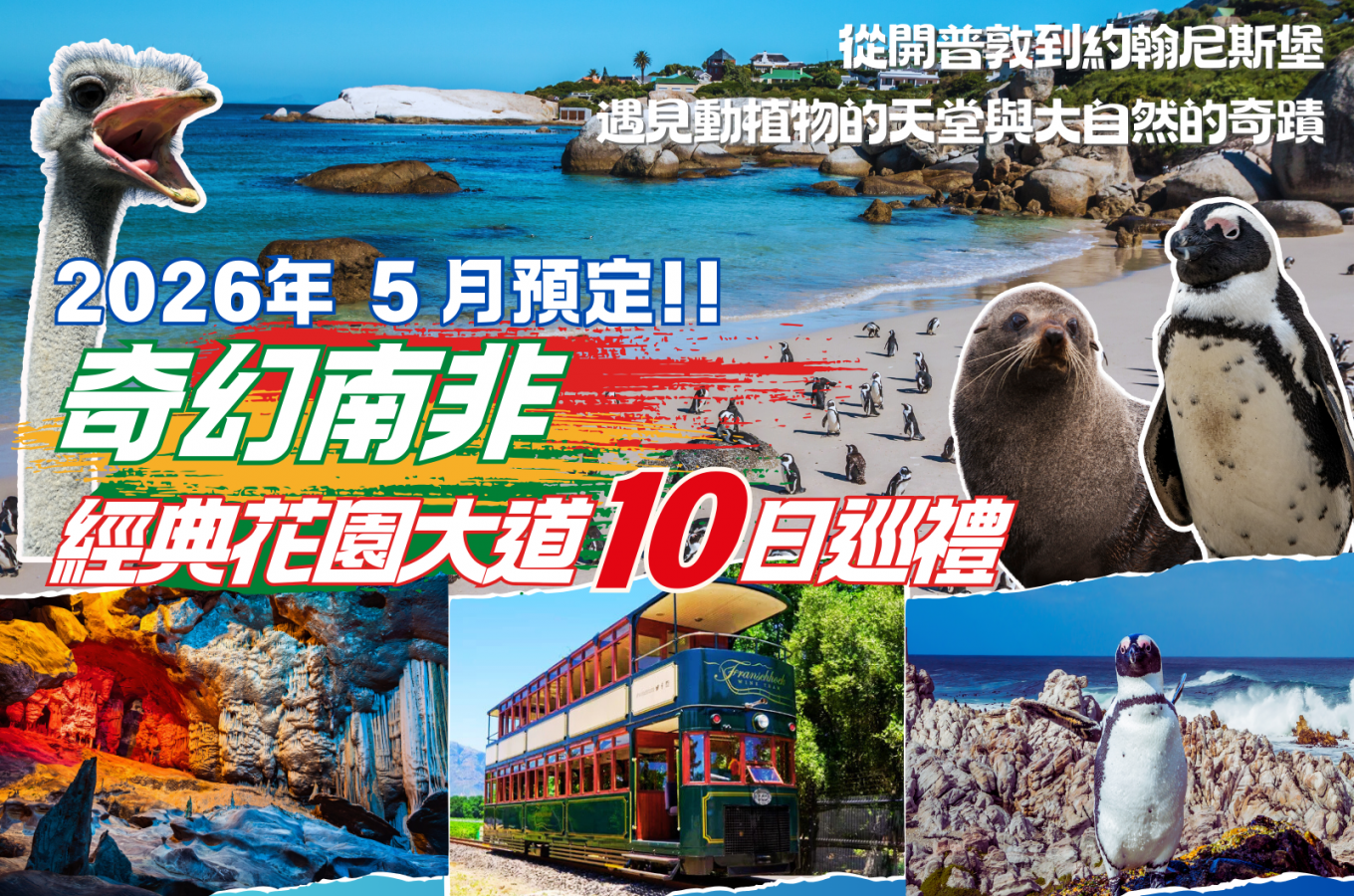 2026 年 5 月｜南非花園大道 10 日 1