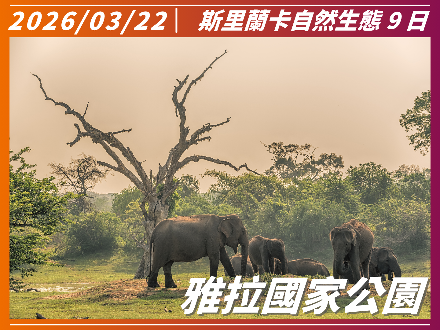 2026 南亞之星｜斯里蘭卡自然生態 9 日 4