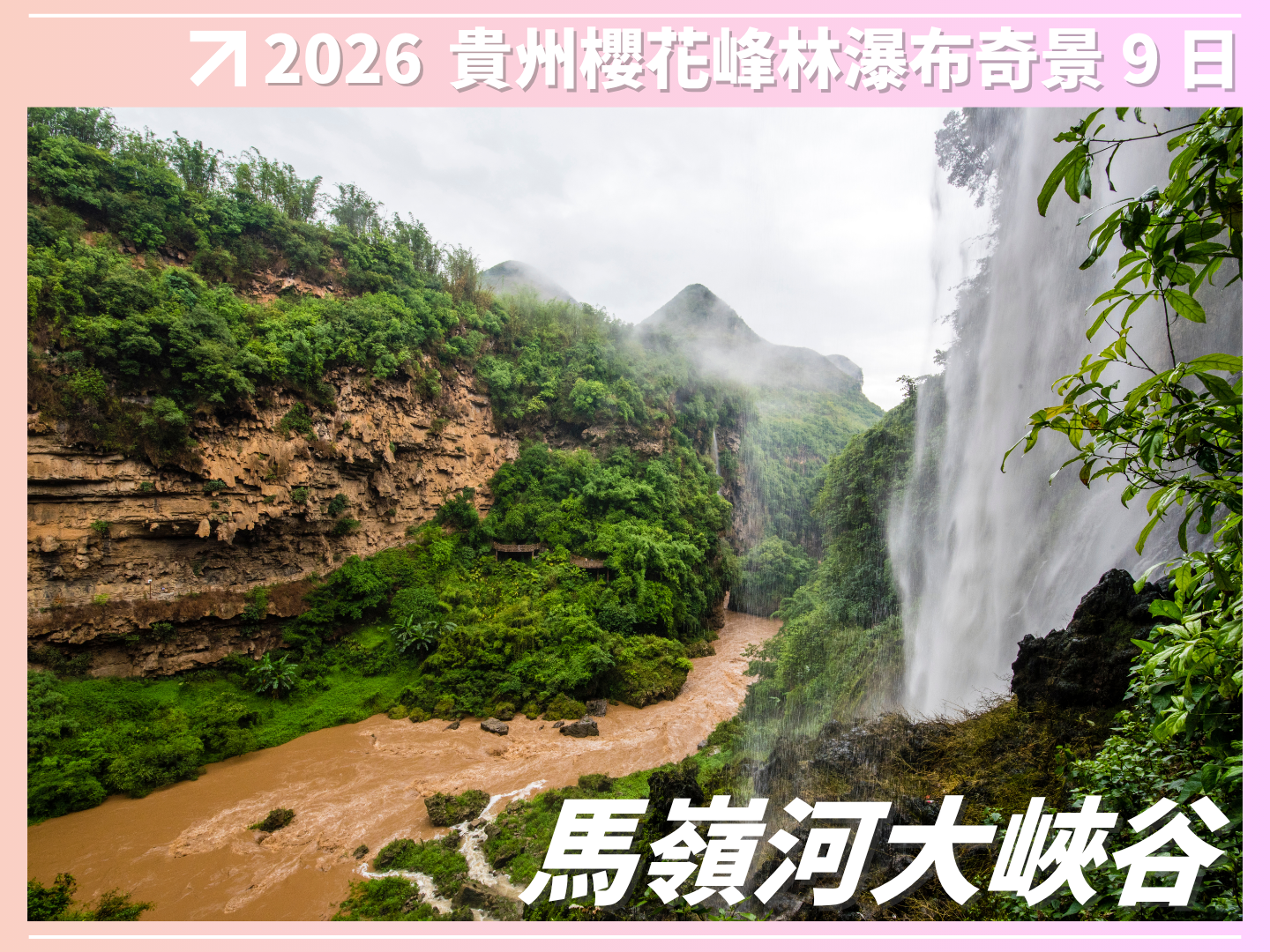 2026 花開富貴｜貴州櫻花峰林瀑布奇景 9 日 3