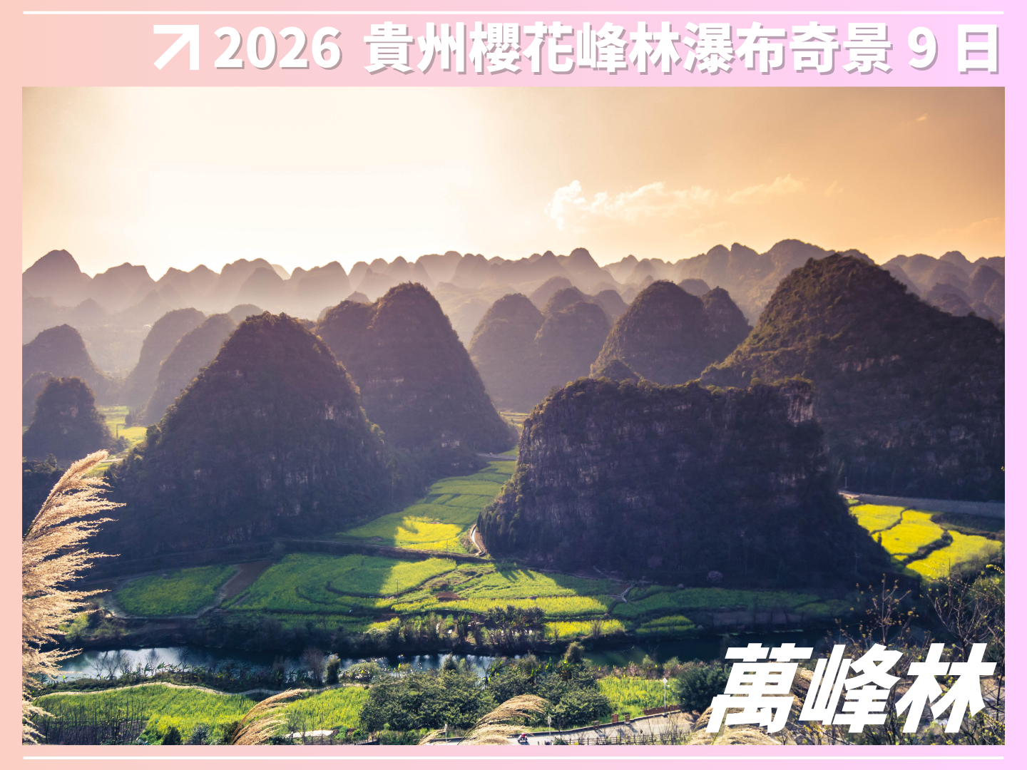 2026 花開富貴｜貴州櫻花峰林瀑布奇景 9 日 4