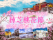 2026 年 4 月｜西藏林芝桃花+雙聖湖+青藏鐵路 13 日