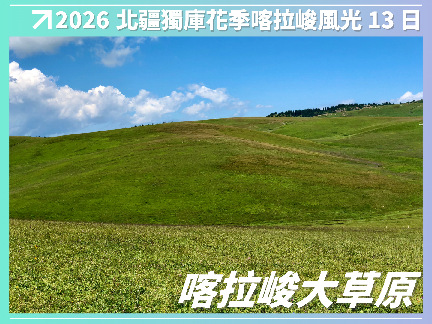 2026 北疆．獨庫．花季．喀拉峻風光 13 日（越野車3日） 6