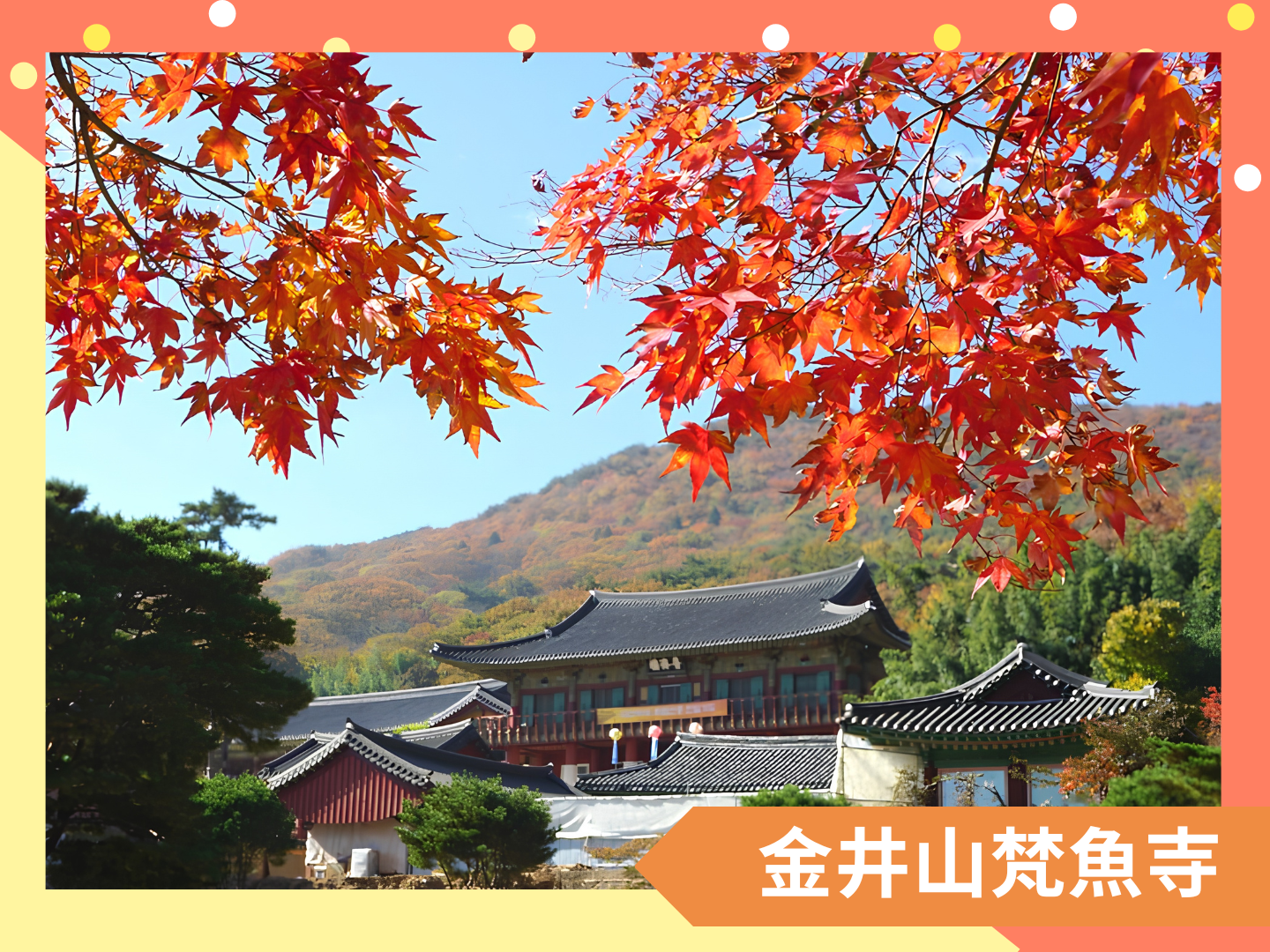 秋季・釜山伽倻追楓 5 日  9