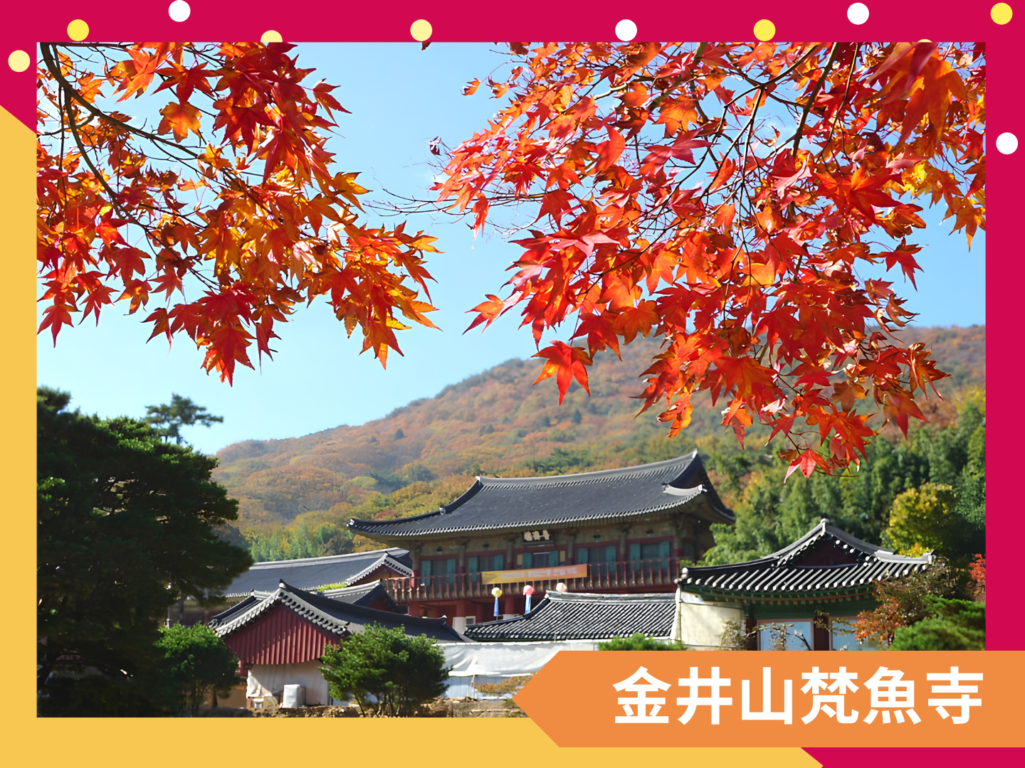 秋季・釜山風情追楓 5 日 10