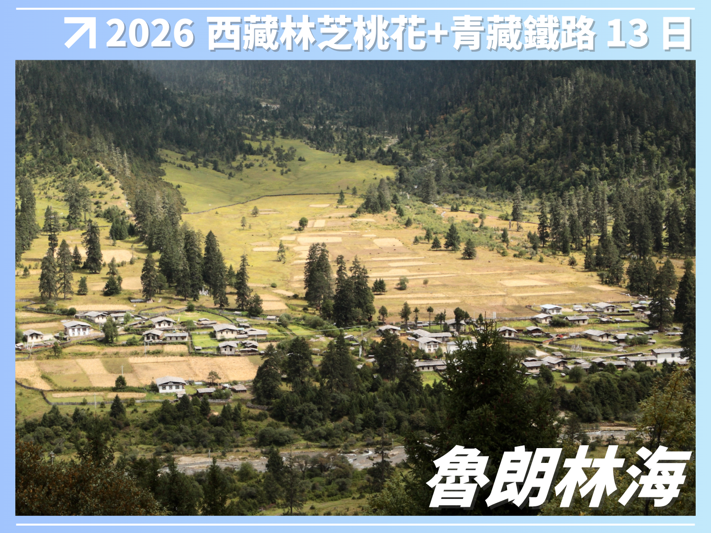 2026 西藏林芝桃花＋雙聖湖＋青藏鐵路 13 日 3