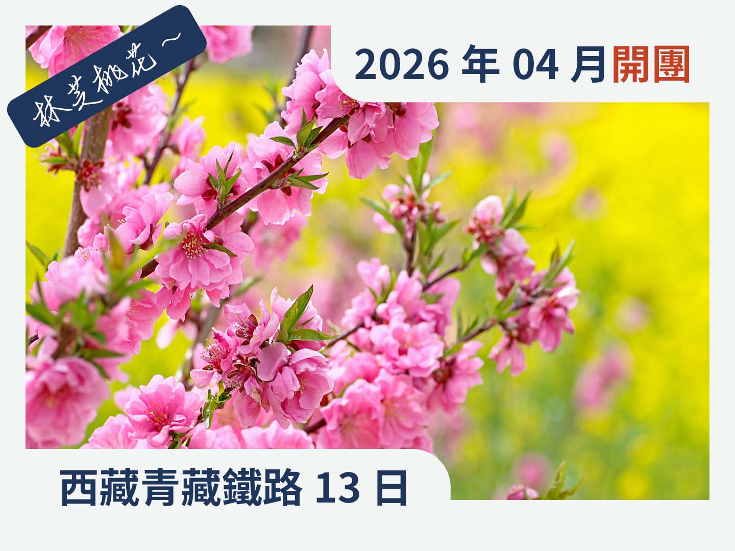 2026西藏林芝桃花+雙聖湖+青藏鐵路13日 1