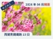 2026西藏林芝桃花+雙聖湖+青藏鐵路13日