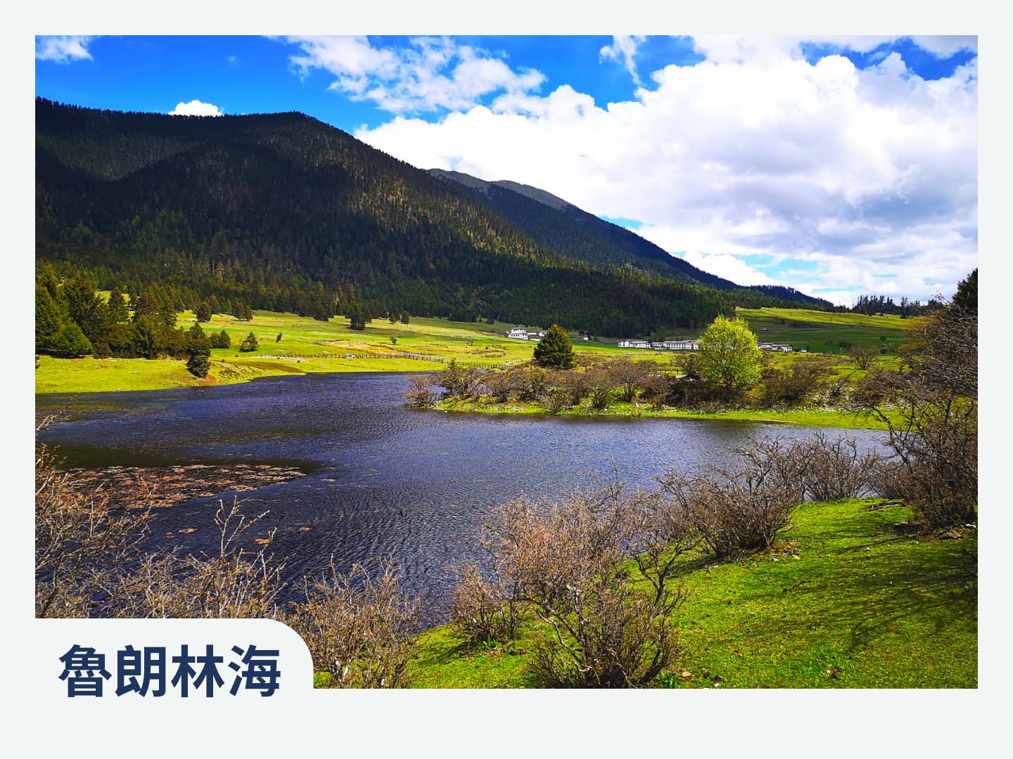 2026西藏林芝桃花+雙聖湖+青藏鐵路13日 5