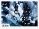 2026 藍冰奇緣 8 日